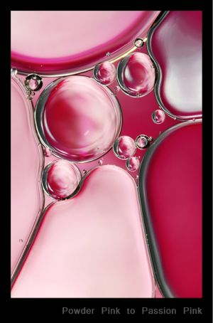 Powder Pink to Passion Pink.jpg